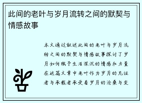 此间的老叶与岁月流转之间的默契与情感故事